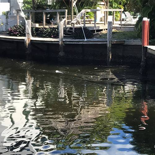 South-Florida-Dock-Piling-Wrapping-Services