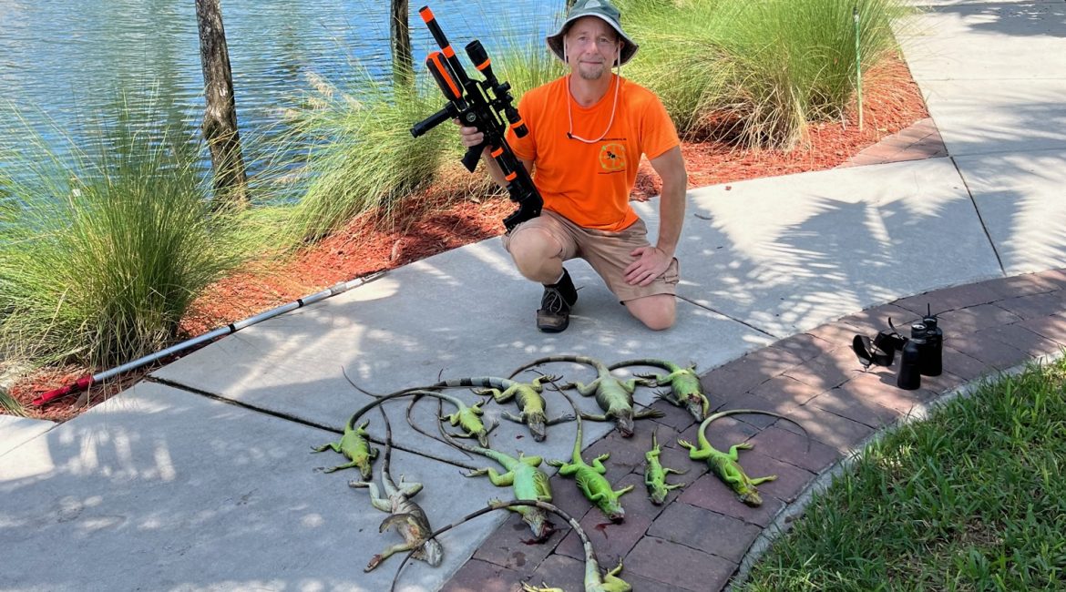Iguana Exterminators performing iguana removal holding FX Impact M3 while kneeling behind 11 iguanas collected for removal at Pompano Condominium.