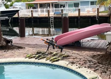 Iguana Removal Service