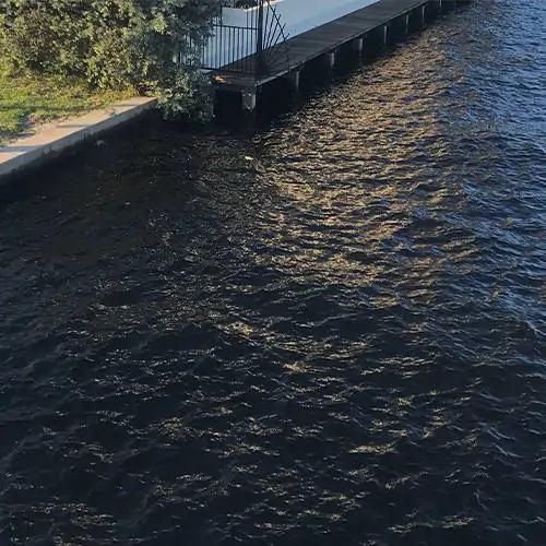 Intercostal-Iguana-Seawall-Exclusion-Systems