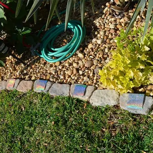 Optical-Iguana-Deterrent-Flower-Bed