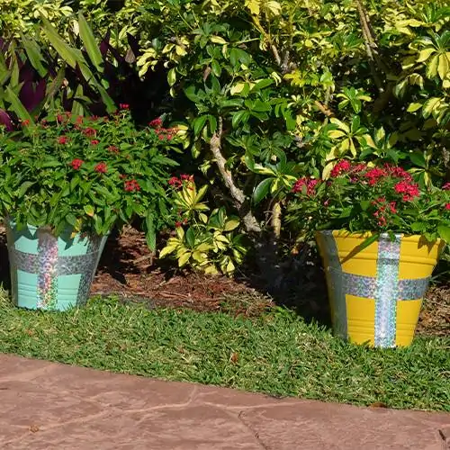 Optical-Iguana-Deterrent-Flower-Pot