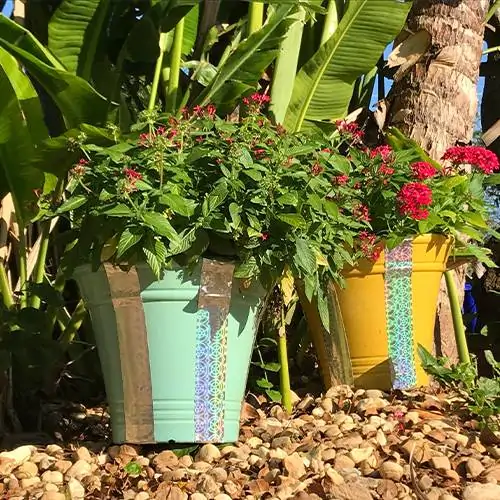 Optical-Iguana-Deterrent-Flower2-Bed