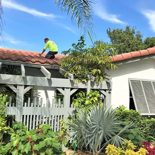 Rooftop-Plumbing-Install-Stops-Iguana-Toilet-