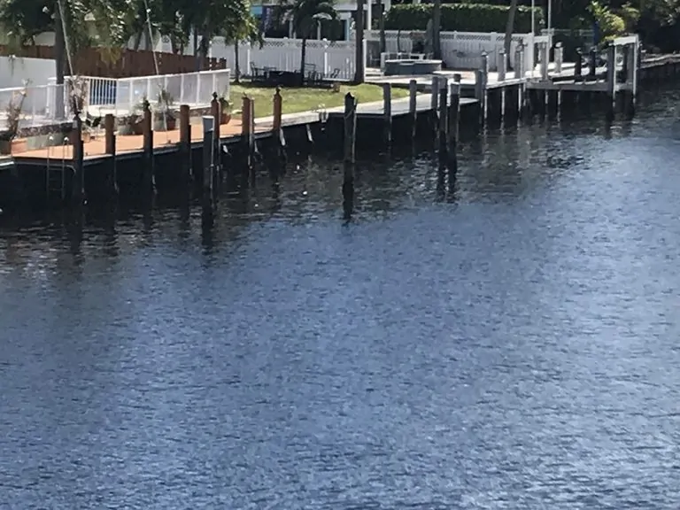 Dock Piling Wrapping Stops Water Iguanas Climbing